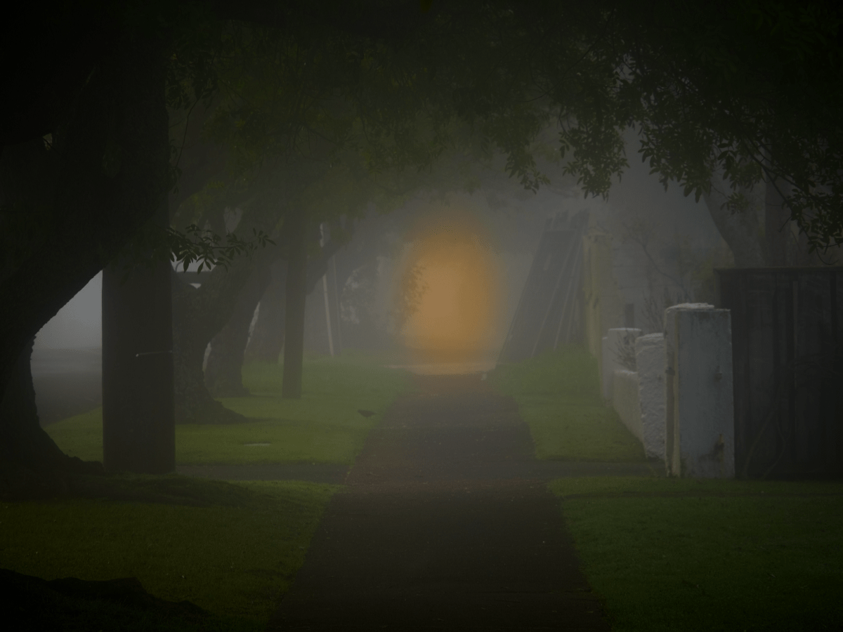 A WONDERFUL NEIGHBORHOOD – Part&nbsp;2