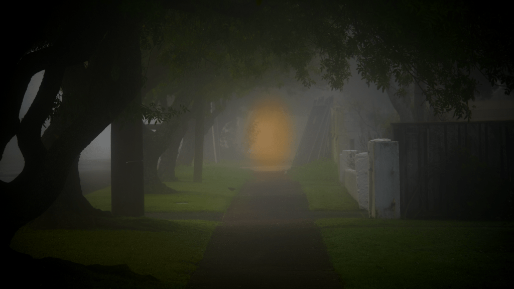 A WONDERFUL NEIGHBORHOOD – Part&nbsp;2