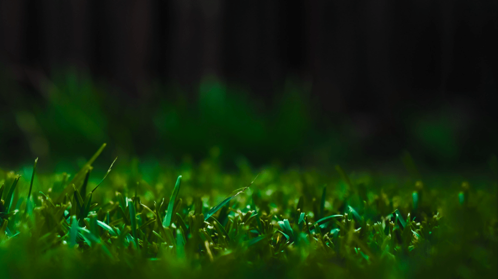 A WONDERFUL NEIGHBORHOOD – Part&nbsp;3