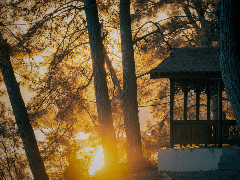 The Dream of a Peaceful&nbsp;Morning