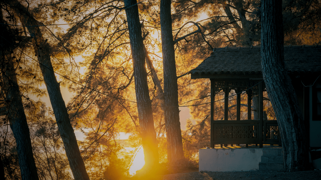 The Dream of a Peaceful&nbsp;Morning